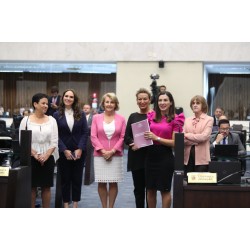Código da Mulher Paranaense é aprovado na Assembleia Legislativa